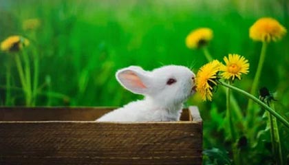 武义县高价上海医保提取2025的最新政策(2025年武义县上海医保怎么提取现金分享)